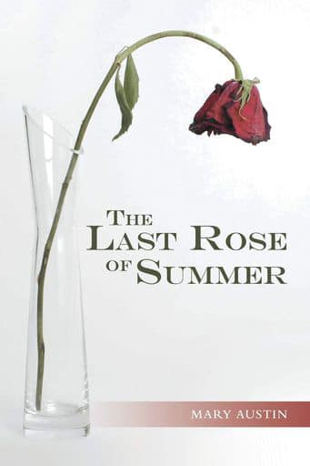 the-last-rose-of-summer-by-Mary-Austin