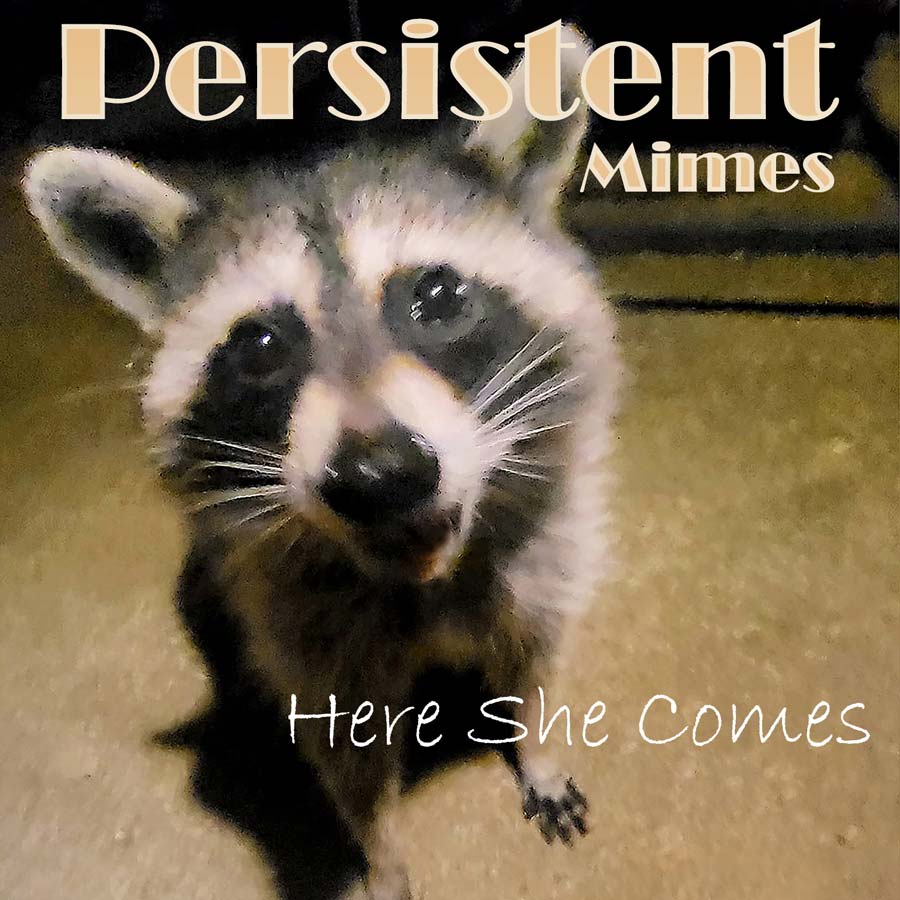 Persistent-Mimes-here-she-comes